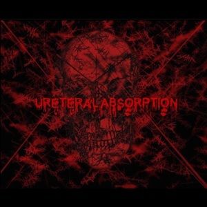 Meet your Posher, Pedro